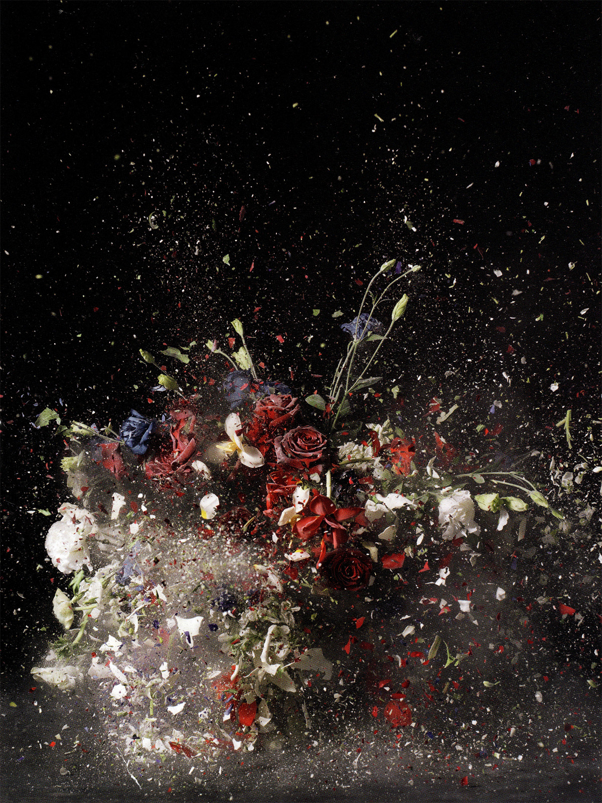 Flowers – Explodierender Blumenstrauß